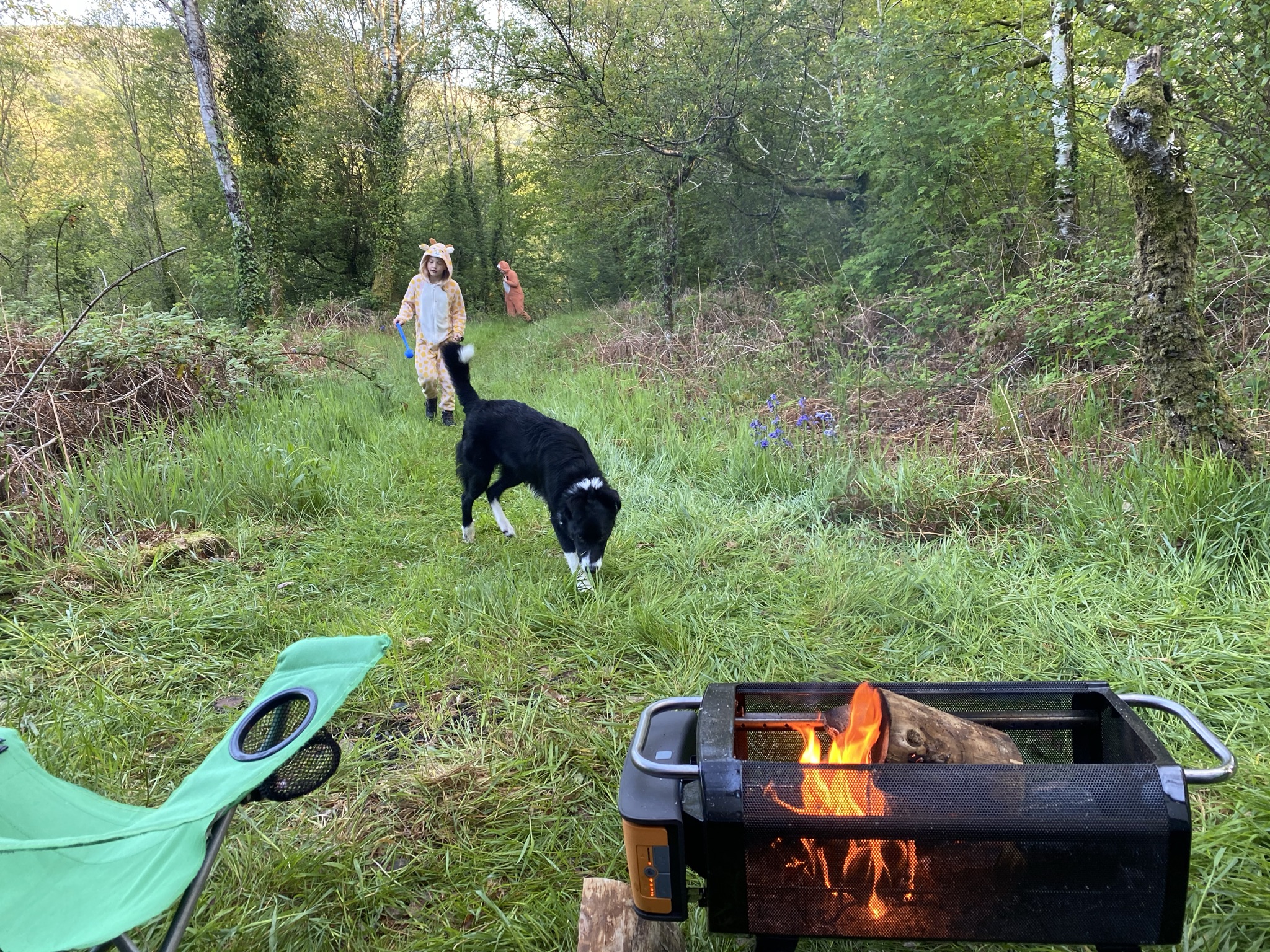 Fire pit in the wilderness